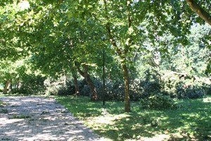 Zámocký park po smršti  [Šípová]