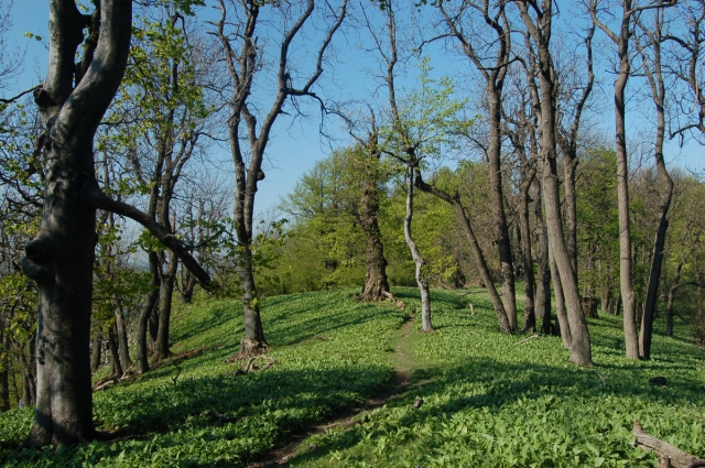 Malé Karpaty [Mráz]