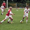 Baumit Cup 2014 vyhrala Slávia Praha pred ČSFA Malacky