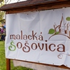 Jarná Malacká šošovica je za nami 