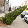  Dnes: výstraha pred silným vetrom
